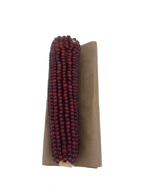 Microwavable Popping Corn – Dozen Cobs
